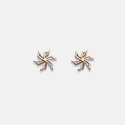 Shimmering silver earrings featuring a star design, a stylish accessory for any occasion